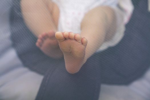 Newborn feet trapped and pushing a mosquito net