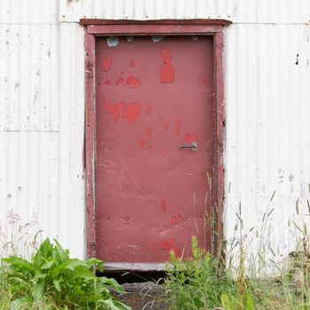 Red door in an old white wall