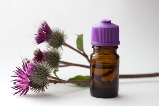 bottle with вurdock (castor, agrimony) оil, agrimony branch