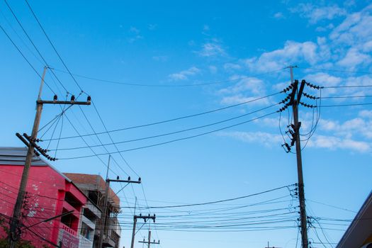 Power poles and power lines