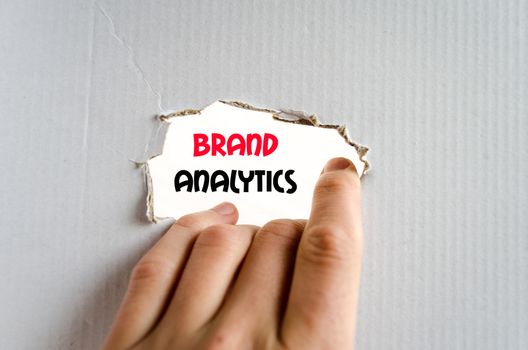 Brand analytics text concept isolated over white background