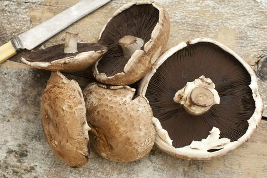 Group of five large tasty portobello mushroom caps besides knife on a rustic table