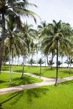 Tropical sea of thailand - Palm Beach Resort and Spa