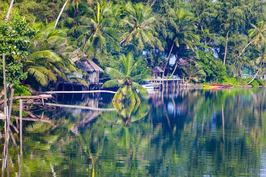 The resort in nature among the coconut trees.