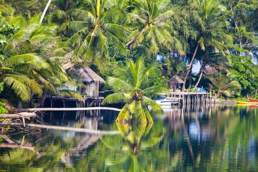 The resort in nature among the coconut trees.