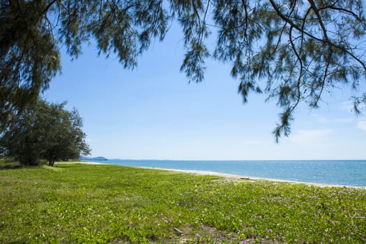 Tropical beach at beautiful ,Mae Ramphueng beach ,Rayong Thailand