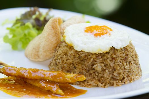Rice with vegetables and eggs in the plate on the natural delicious,Grilled Pork Satay with Peanut Sauce and Vinegar.