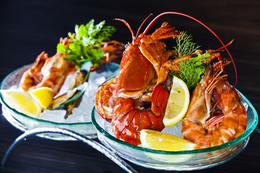 Chilled large shrimps on crushed ice with dill and lemon, selective focus.