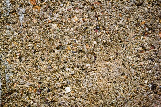 Background Detail of texture of cement wall