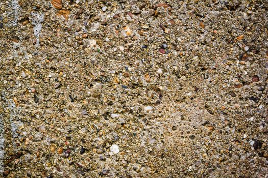 Background Detail of texture of cement wall