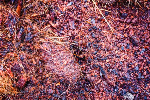 the soil wet texture , background
