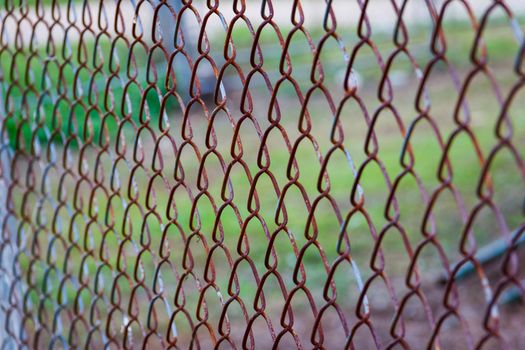 the iron hain fence background