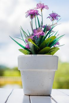 the flower in a flower pot on an white table with background