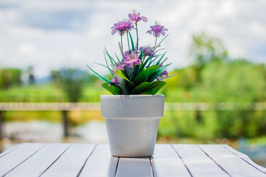 the flower in a flower pot on an white table with background