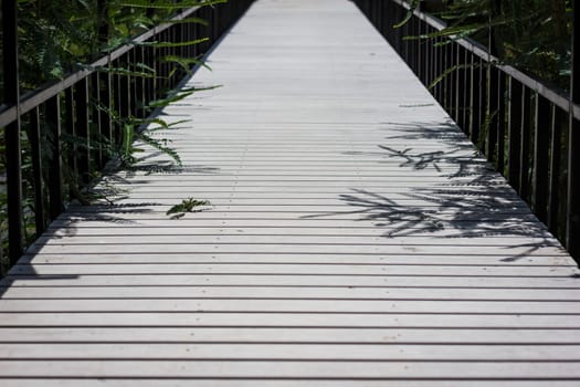 white Wooden Bridge in the marsh