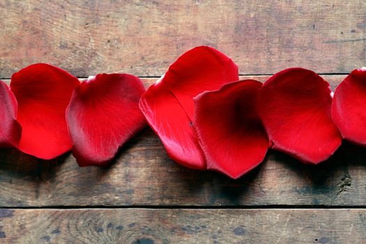 Romance concept. Few red rose petals in a row on wooden background