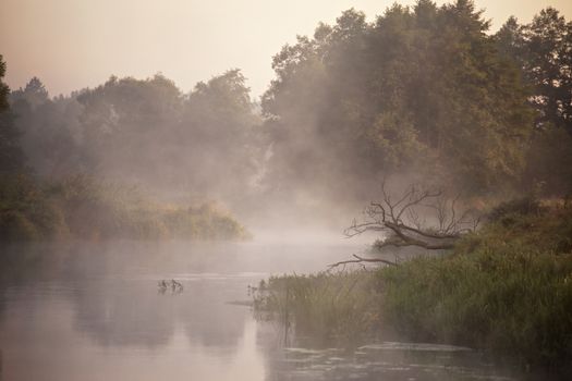 Foggy river in the morning. Panorama