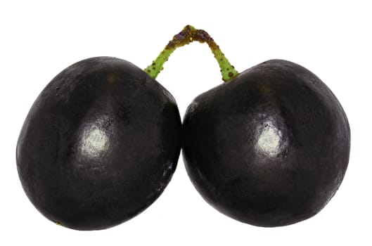 Black Grapes on white Background