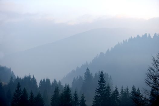 Mountains with trees and fog