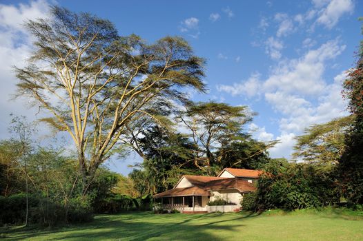 Tourist resort in a woods of Africa