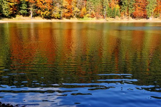 Autumn colorful foliage over lake with beautiful woods in red and yellow color
