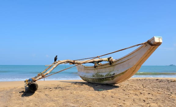 Fishing boats resting on empty beach in Sri Lanka