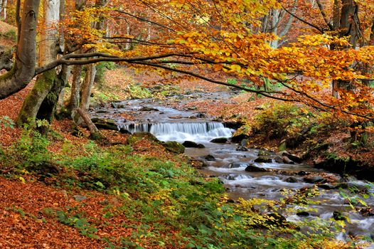 Beautiful mountain river in the autumn forest