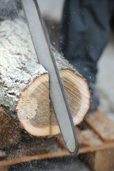 Close-up professional chainsaw blade cutting log of wood