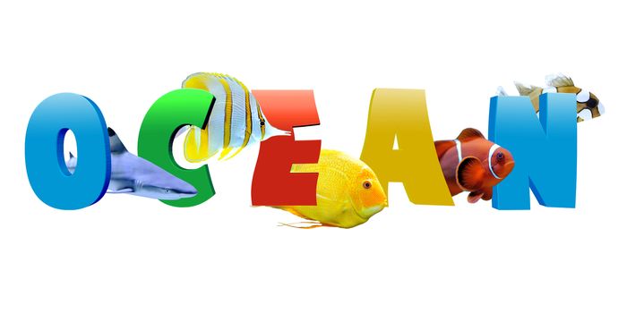Word OCEAN with many tropical reef fish isolated on white background