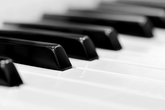 Close-up of piano keyboard. Close frontal view