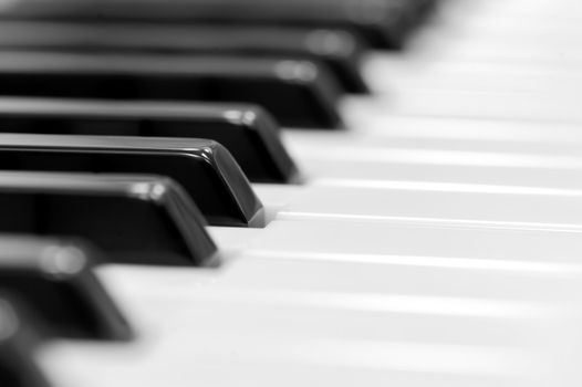 Close-up of piano keyboard. Close frontal view