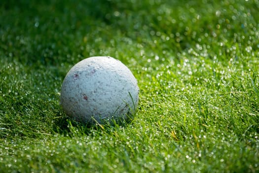 Chewed dog ball on dewy grass.
