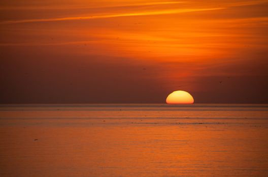 Sunset over sea at Brighton in Sussex, with cloud and gulls.