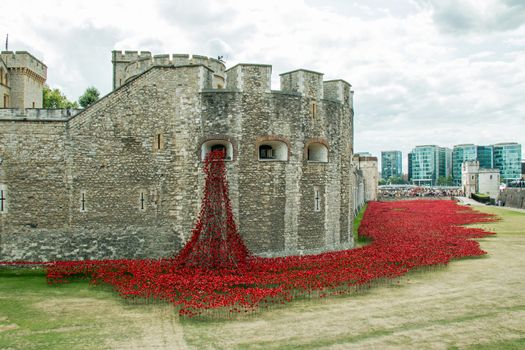 Display of ceramic poppies commemorating the centenary of the start of the First World War, with the poppies representing military personnel killed during the War.