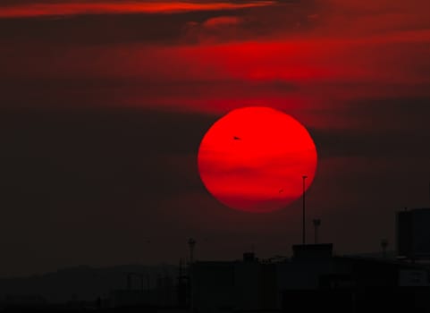 September sunset with gulls and buildings silhouetted at Shoreham Harbour