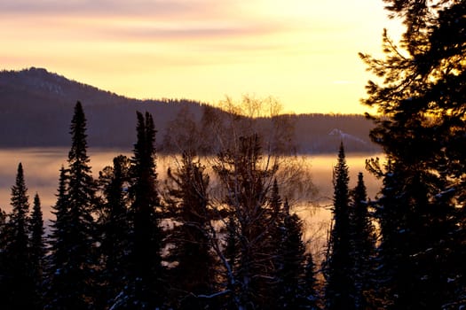 Winter sunset in the forest in siberia