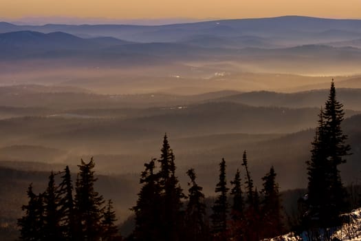 Silhouette of the trees on the mountain background