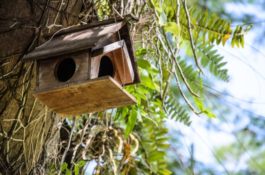 Old wooden birdhouse tied into the tree