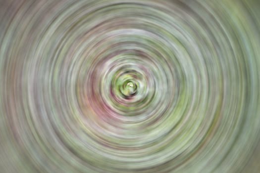 Abstract radial blur background from green leaves, stock photo