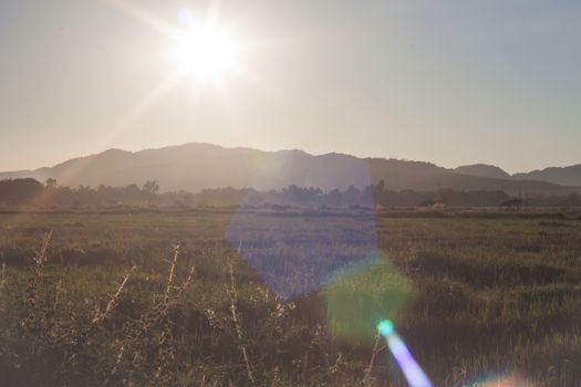 Sunrise and field with lens flare, stock photo