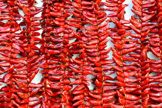 Strings of PDO Espelette chilli peppers drying, France