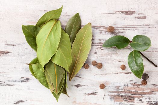 Dry bay leaves on white wooden textured background. Culinary herb, cooking ingredient and medical herb. 