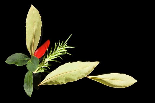 Traditional culinary herbs. Bay leaves, sage and rosemary on black background, top view.