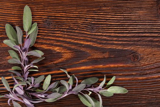 Sage herb on brown wooden rustic background with copy space. Alternative herbal medicine background with copy space.