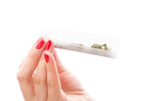 Hands isolated on white background rolling a cannabis joint. Smoking marijuana addiction. Feminine drug abuse. 