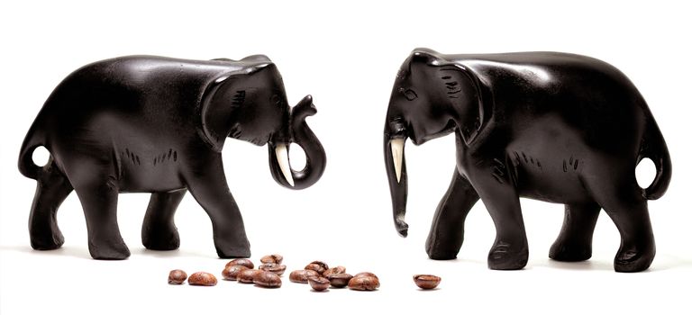 Two Black Elephants with Cofee Beans