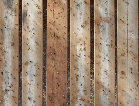 texture for a website wooden planks with flowers