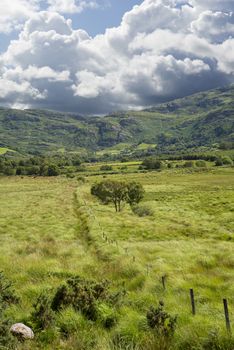 view from a beautiful hiking route the kerry way in ireland of fence leading to trees and rocky mountains