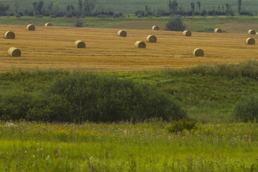 Haystacks on a field in Russia, Tula