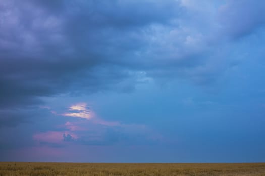 Twilight sky and yellow field in Russia